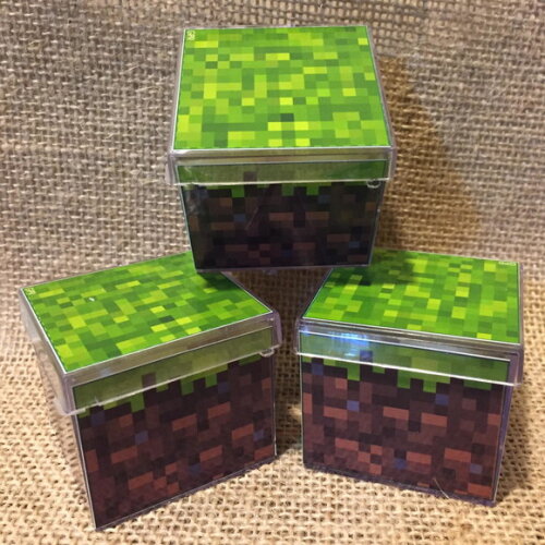 Caixinha Minecraft Authentic Games