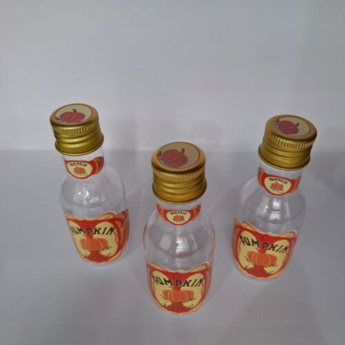 Frasco Suco de Abóbora Harry Potter - Kit 20 Unidades