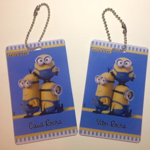 Identificação Escolar Unicórnio