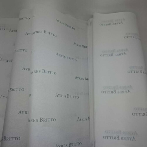 Papel de Seda Personalizado 30x60cm - 10 Folhas