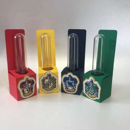 Tubete Personalizado Festa Harry Potter Casas