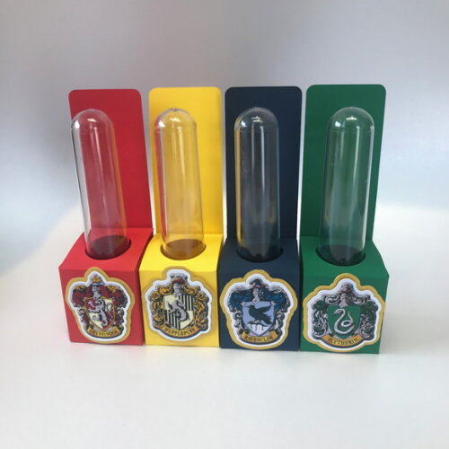 Tubete Personalizado Festa Harry Potter Casas