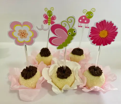 Forminhas Jardim e Toppers