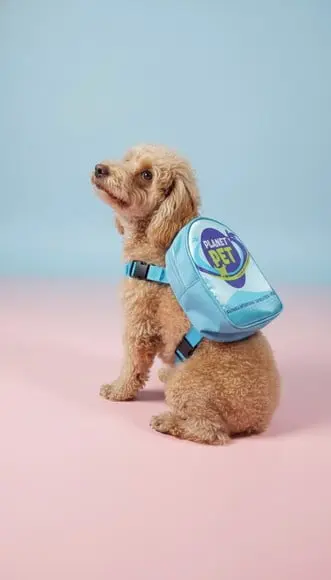 Mochila Personalizada para Pet Shop e Hotelzinho Tamanho m