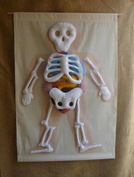 Corpo Humano em Feltro - Banner