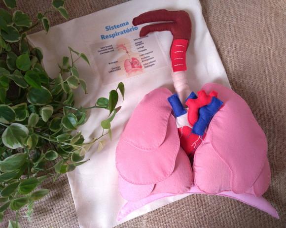 Sistema Respiratório em Feltro + Coração