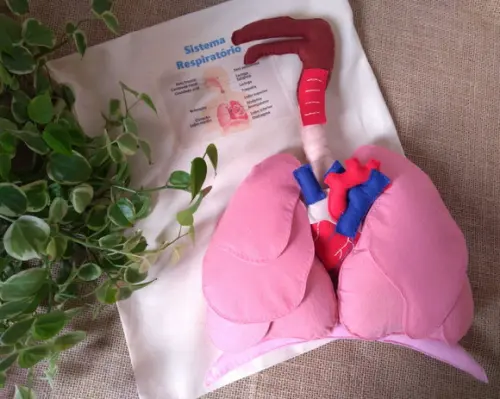 Sistema Respiratório em Feltro + Coração