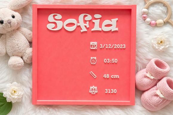 Quadro Personalizado Bebê com Nome e Dados de Nascimento