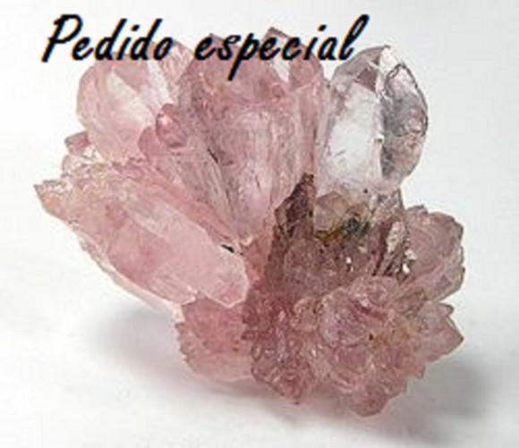 Pedido especial