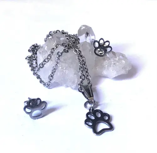 Conjunto Brinco e Corrente Pingente Aço Inox com Patinha Pet
