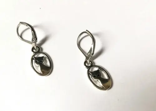 Brinco com Gancho Fechado Aço Inox e Gato