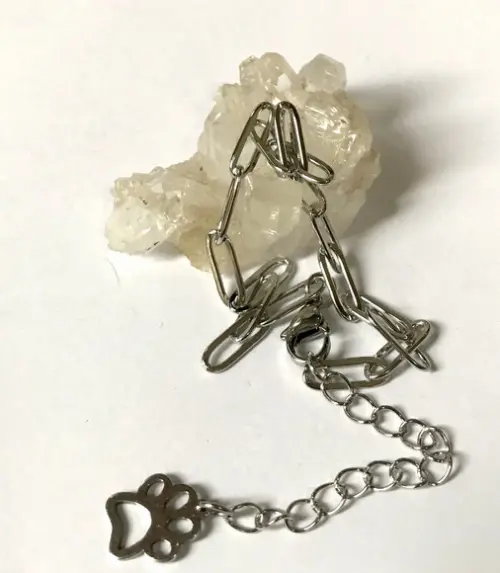 Pulseira Aço Inoxidável com Patinha - Pet