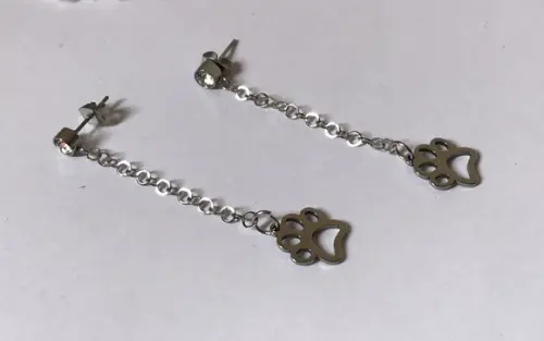Brinco Aço Inox com Strass e Patinha Pet