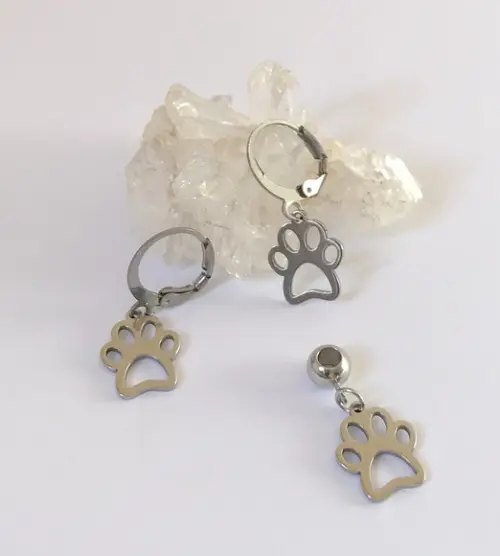 Brincos e Pingente em Aço Inox Pet