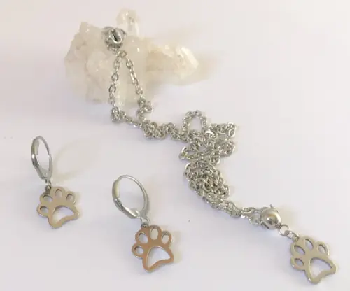 Conjunto Brincos e Corrente com Pingente em Aço Inox Pet