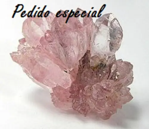 Pedido especial