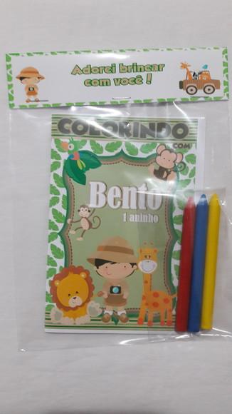 Mini Livro de Colorir c/ 3 Giz Safari