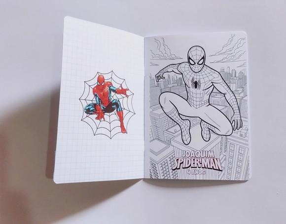Álbum de Figurinhas Homem Aranha Spiderman Lembrancinha
