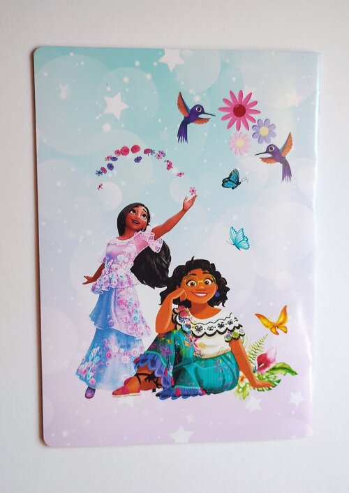 Álbum de Figurinhas com Desenhos para Colorir Encanto