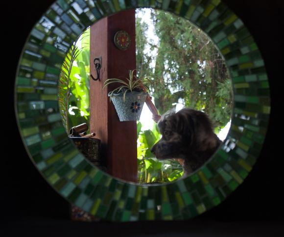 Espelho em Mosaico Verde