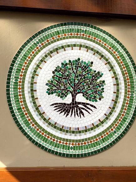 Mandala Árvore da Vida para Aplicação