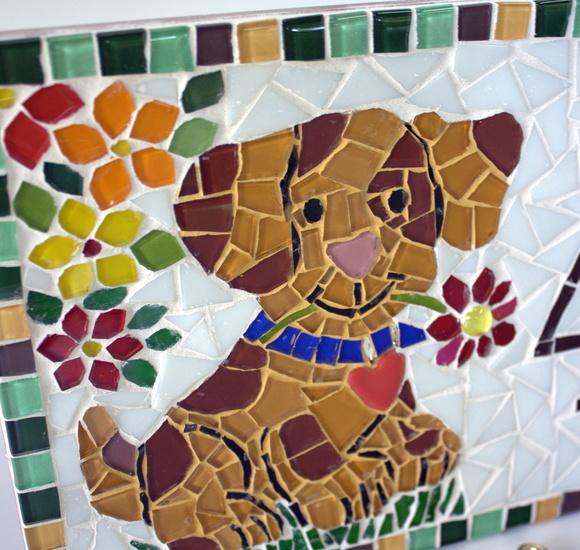 Número para Casa Dog