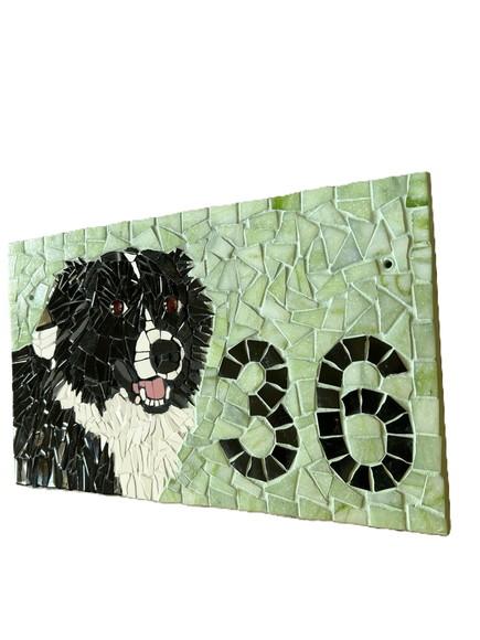 Número para Casa em Mosaico Border Collie
