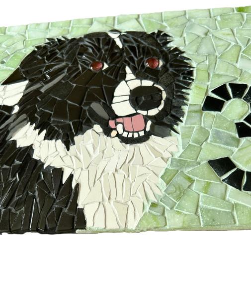 Número para Casa em Mosaico Border Collie