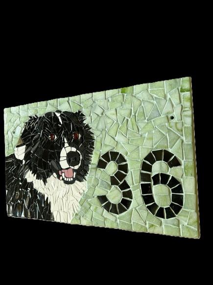Número para Casa em Mosaico Border Collie