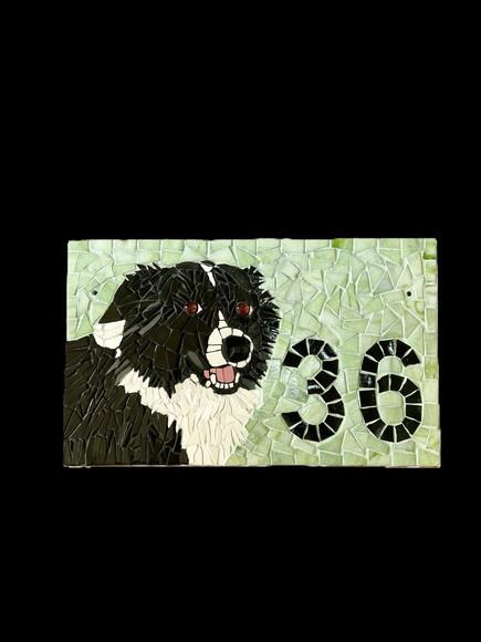 Número para Casa em Mosaico Border Collie