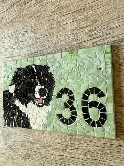 Número para Casa em Mosaico Border Collie