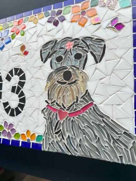 Número para Casa em Mosaico Schnauzer