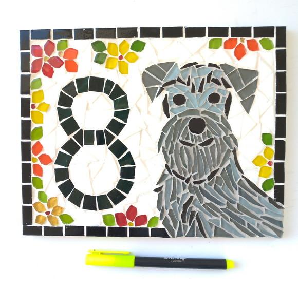 Número para Casa Schnauzer