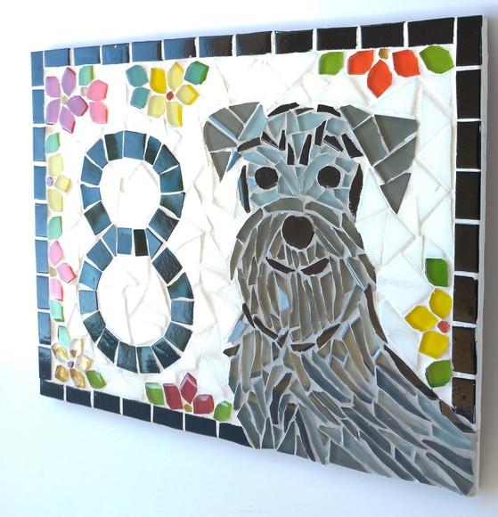 Número para Casa Schnauzer