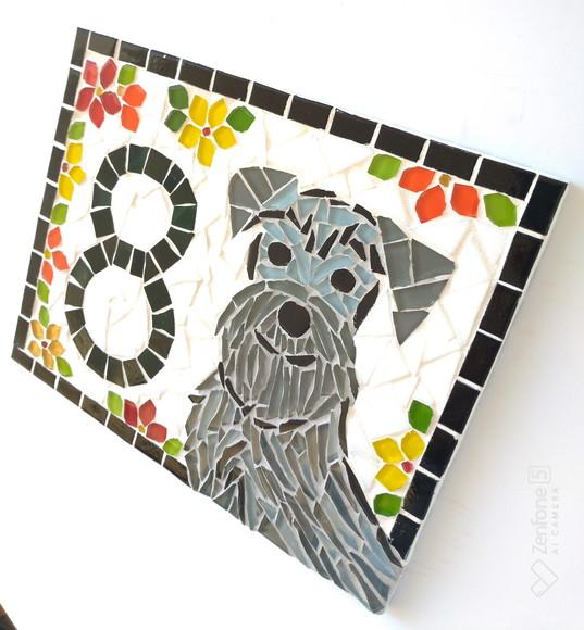 Número para Casa Schnauzer