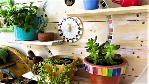 Estante Rústica Sustentável Mosaico para Suculentas Divino