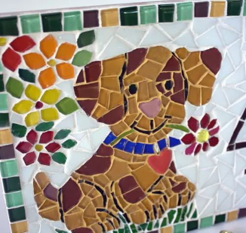 Número para Casa Dog