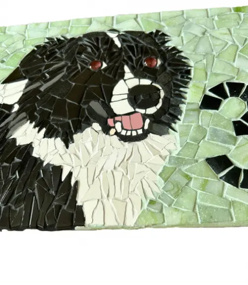 Número para Casa em Mosaico Border Collie