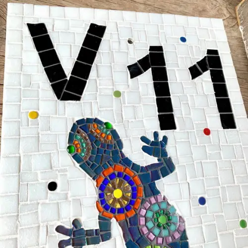 Número para Casa Mosaico Calango