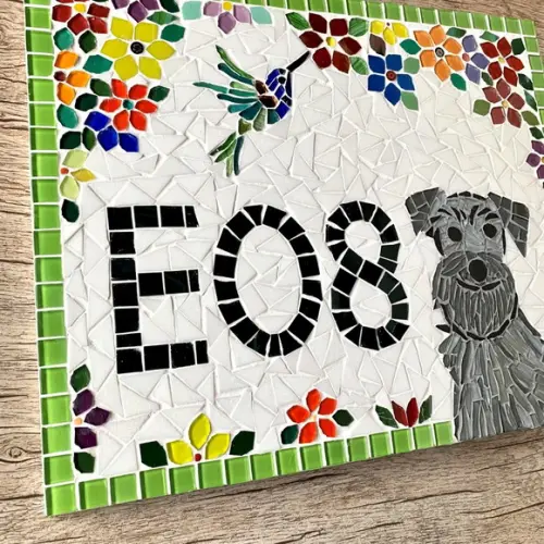 Número para Casa Schnauzer