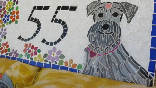 Número para Casa Schnauzer em Mosaico