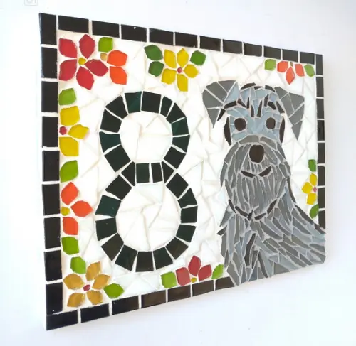Número para Casa Schnauzer