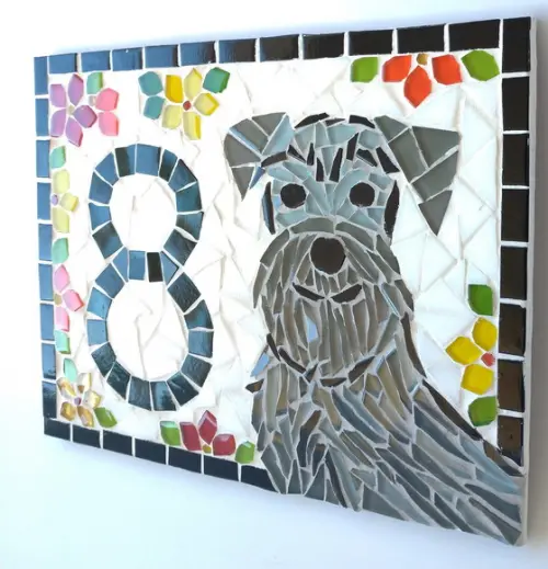 Número para Casa Schnauzer