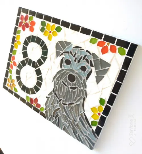 Número para Casa Schnauzer