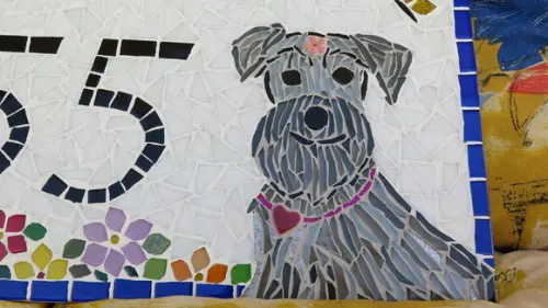 Número para Casa Schnauzer em Mosaico