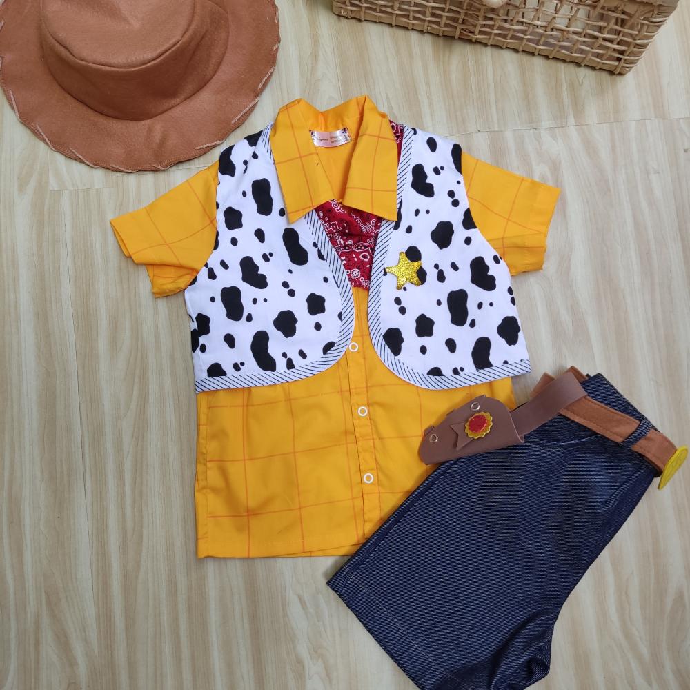 Fantasia Woody toy story infantil