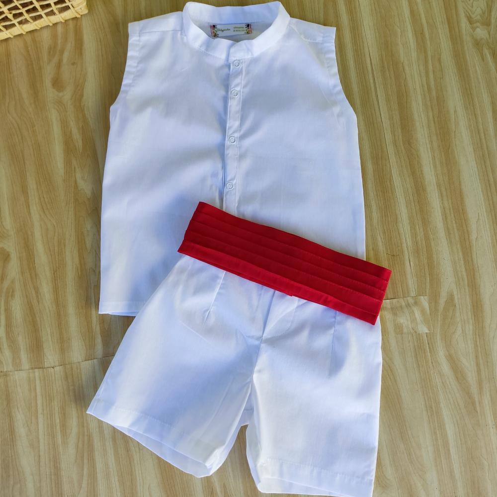 Fantasia pequeno príncipe luxo