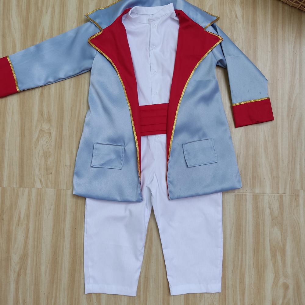 Fantasia pequeno príncipe luxo