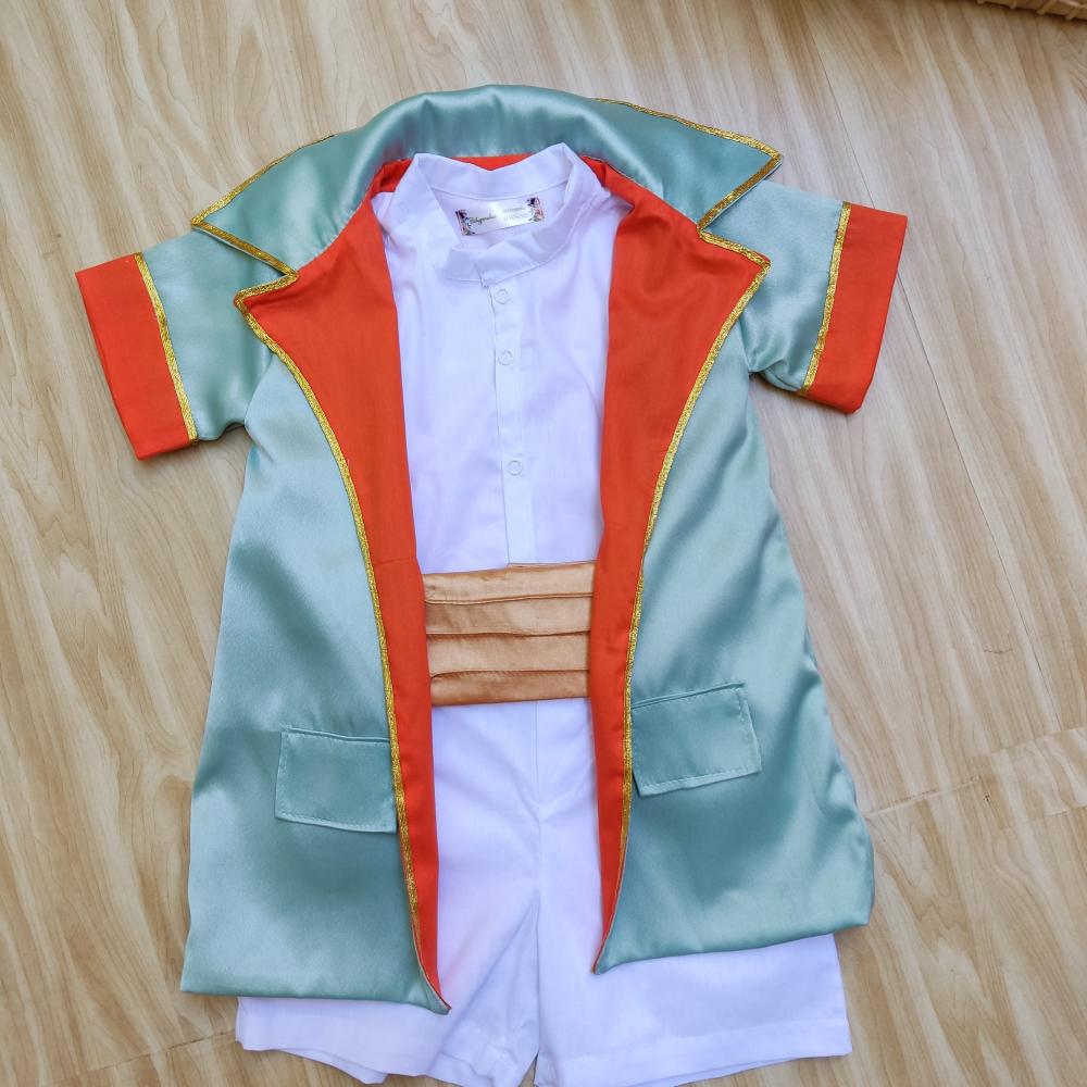 Fantasia príncipe luxo