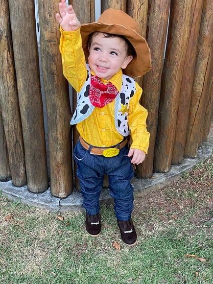 Fantasia Woody Toy Story